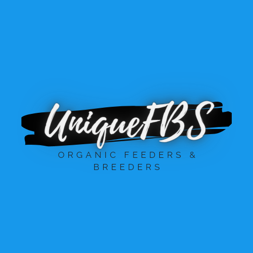 UniqueFBS