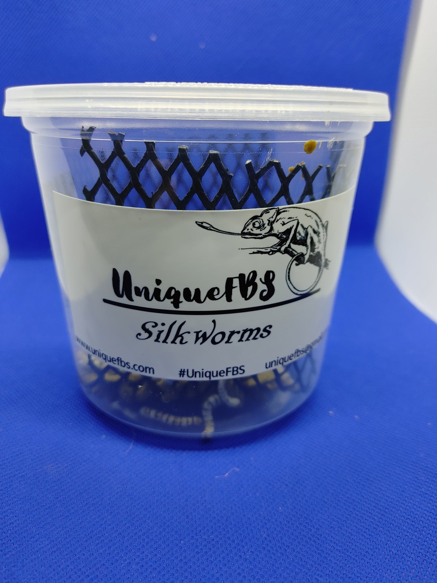 Medium Silkworms